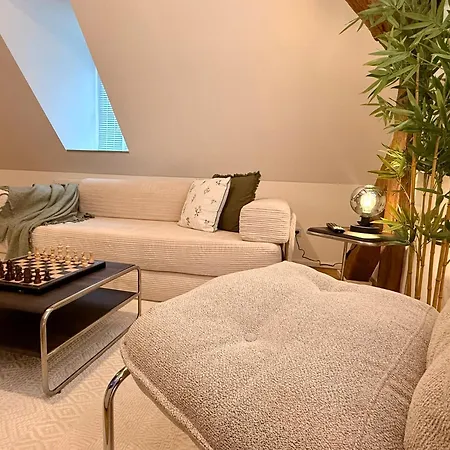 A Hidden Gem In The Heart Of The Apartamento *